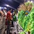 SP: baiana desmaia durante desfile do Camisa Verde e Branco na Anhembi
