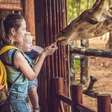 Zoológico de São Paulo - um guia completo com atrações, preços, como chegar e curiosidades sobre o local