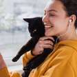 Dia do Gato: conheça 6 pets que fazem sucesso nas redes sociais
