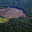 Amazônia pode entrar20 betanocolapso20 betano2050, diz pesquisa