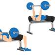 Exercícios básicos da musculação: 3 pilares da hipertrofia