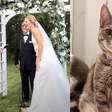Nos EUA, gata invade casamento e é adotada pelos noivos: "Amorosa e carinhosa"