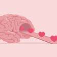Ocitocina: hormônio "do amor" também é um aliado da memória; entenda