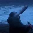 Repórter é atingido no rosto por peixe durante cobertura de tempestade ao vivo; assista