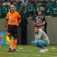 Abel Ferreira se solidariza com Fortaleza e reforça confiança em Weverton: 'o Palmeiras confia nele'