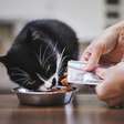 10 benefícios dos alimentos úmidos para os gatos