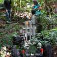 Brasileiros concorrem a prêmio de US$ 10 milhões com método inovador de mapear florestas
