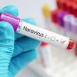 O que é norovírus, vírus altamente contagioso que está causando surto nos EUA?