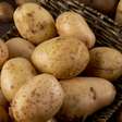 Tipos de batata: confira quais são eles e como usar cada um na cozinha