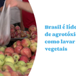 Brasil é líder no uso de agrotóxicos: veja como lavar frutas e vegetais