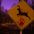 'Bambi' vai virar filme de terror? Entenda!