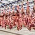 Mais 38 frigoríficos brasileiros podem exportar carnes para a China