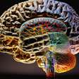 Cientistas descobrem núcleo do medo no cérebro e como desativá-lo