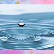 Dia da água: dicas para economizar esse líquido precioso