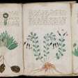 Texto mais misterioso do mundo: o que cientistas descobriram sobre o manuscrito Voynich
