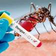 Epidemia de dengue: Rio ultrapassa 150 000 casos da doença
