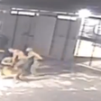 Policiais de SP brigam por escala de folga na Páscoa e são mordidos por cães do grupamento