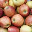 Frutas para baixar a glicose: confira 4 opções