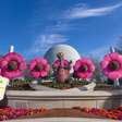 Sabia que o Walt Disney World tem um festival de flores?