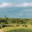 Serengeti é recinto de vida selvagem na Tanzânia