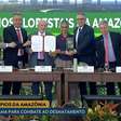 Governo lança programa para combater o desmatamento da Amazônia em municípios recordistas