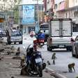 Tailândia cria plano para conter população de macacos após casos de agressão a turistas