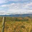 Pesquisa mostra desmatamento do Cerrado para plantio de soja