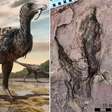 Cientistas encontram pegadas gigantescas de um novo tipo de dinossauro na China
