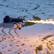 Thermonator, o cão-robô lança-chamas à venda nos EUA