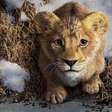 'Mufasa: O Rei Leão' ganha primeiro teaser com tudo o que primeiro filme deveria ser