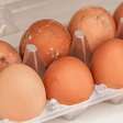Como saber se um ovo está estragado? Especialista explica