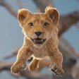 Filme 'Mufasa: O Rei Leão' ganha primeiro trailer