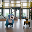 Robô da Boston Dynamics surge com roupinha de cachorro