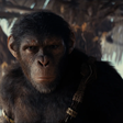 "Um pouco mais de aventura": O diretor de Maze Runner revela seu novo Planeta dos Macacos