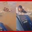 Vice-prefeito de cidade gaúcha ajuda a resgatar cavalo de enchente em Canoas (RS); assista