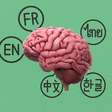 O que acontece com seu cérebro quando você aprende um novo idioma