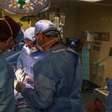 Primeiro paciente a receber rim de porco em transplante morre após dois meses