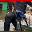 Voluntários incentivam cachorro a pular na água para ser resgatado no RS