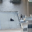Militares usam aeronave para resgatar sete pessoas do telhado de um prédio no RS; veja