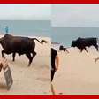 Touro é flagrado atacando pessoas e cães em praia no México