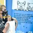 Hospital Veterinário do Recife passa a oferecer tratamento gratuito para esporotricose em gatos
