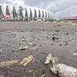 Urgente inter enfrenta obstáculos para reconstruir o Beira-Rioblaze apostas2024