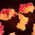 Em testes, vacina do HIV gera anticorpos contra AIDS em humanos
