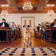 Estrela canina de 'Dog on Trial' ganha prêmio em Cannes; veja cães que já receberam o Palm Dog