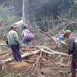 Papua-Nova Guiné: ONU estima 670 mortos em deslizamento