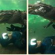 Homem "brinca" com crocodilo e compartilha nas redes sociais; veja vídeo