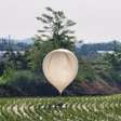 Guerra de lixo: Coreia do Norte lança mais 600 balões contra Seul