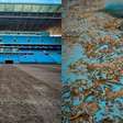 Arena do Grêmio começa limpeza após enchente e encontra peixe; confira imagens