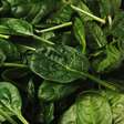 Espinafre: descubra 9 benefícios da hortaliça para a saúde