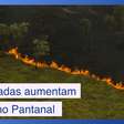 Emergência no Pantanal: queimadas aumentam 898% - e vai piorar